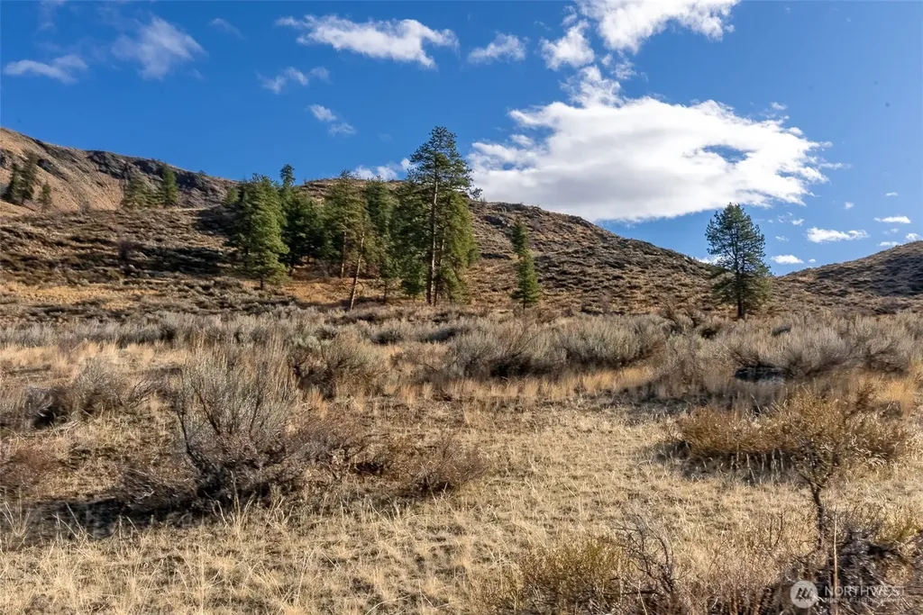 97 Thurlow Road Twisp WA 98856