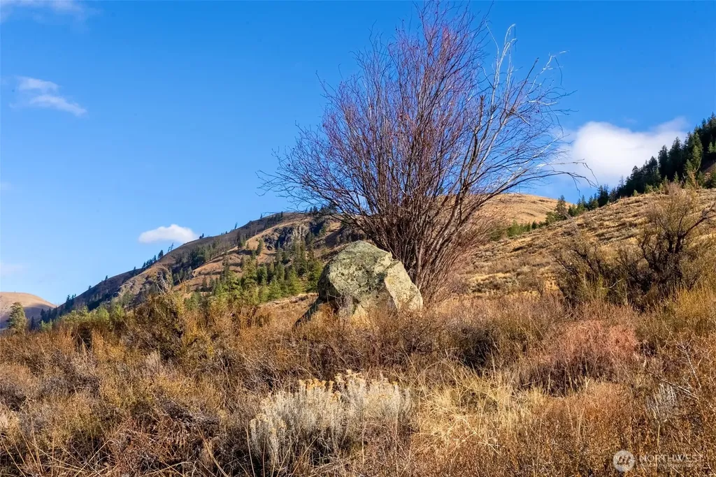 97 Thurlow Road Twisp WA 98856