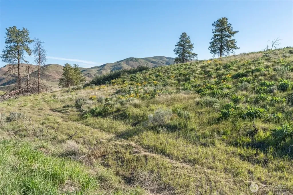 25 Chelan Hills Acres Road Orondo WA 98843