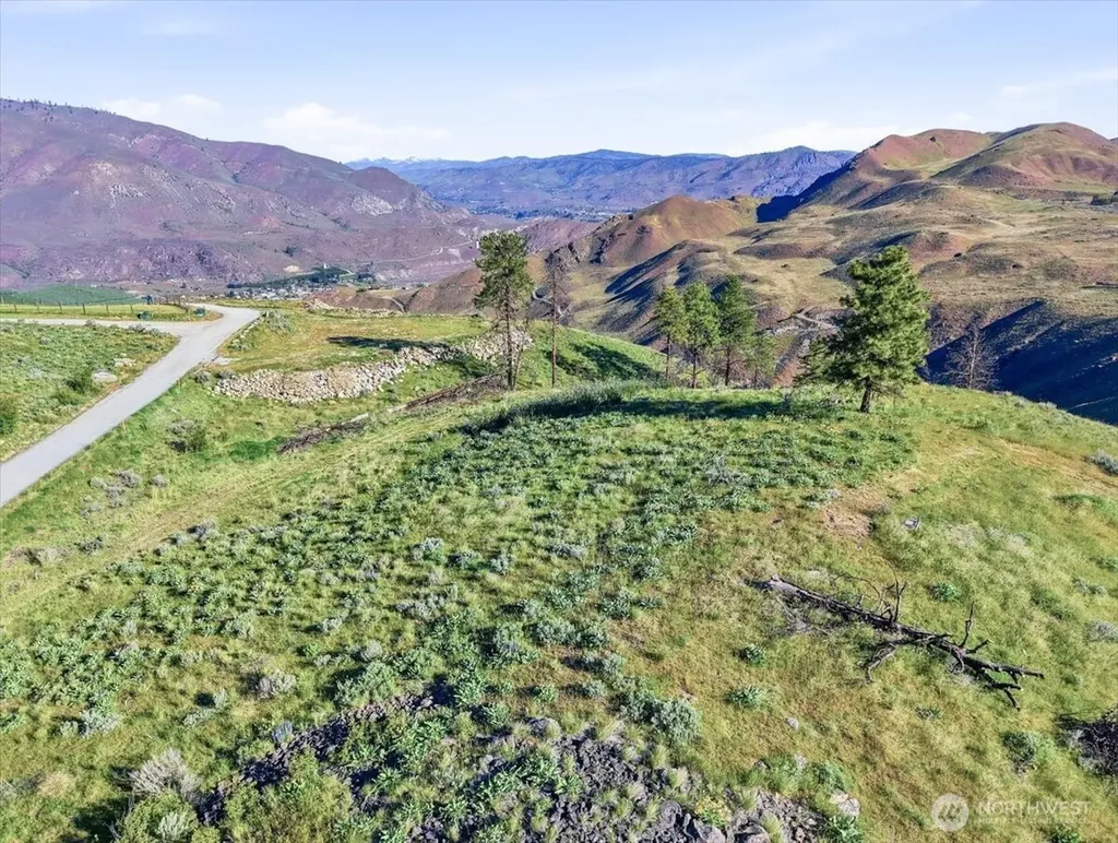 25 Chelan Hills Acres Road Orondo WA 98843