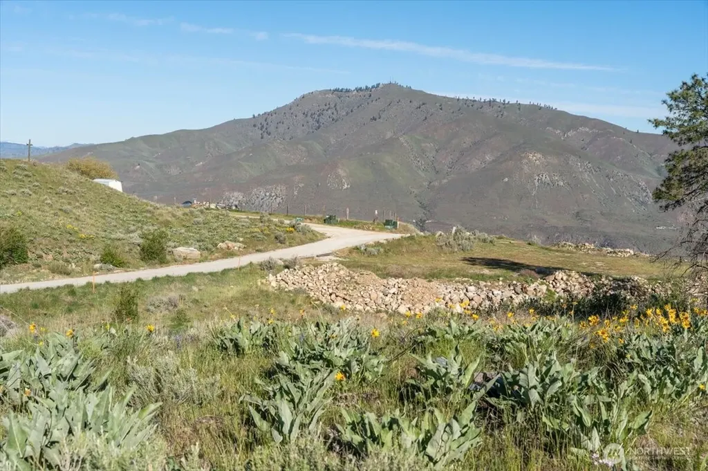 25 Chelan Hills Acres Road Orondo WA 98843