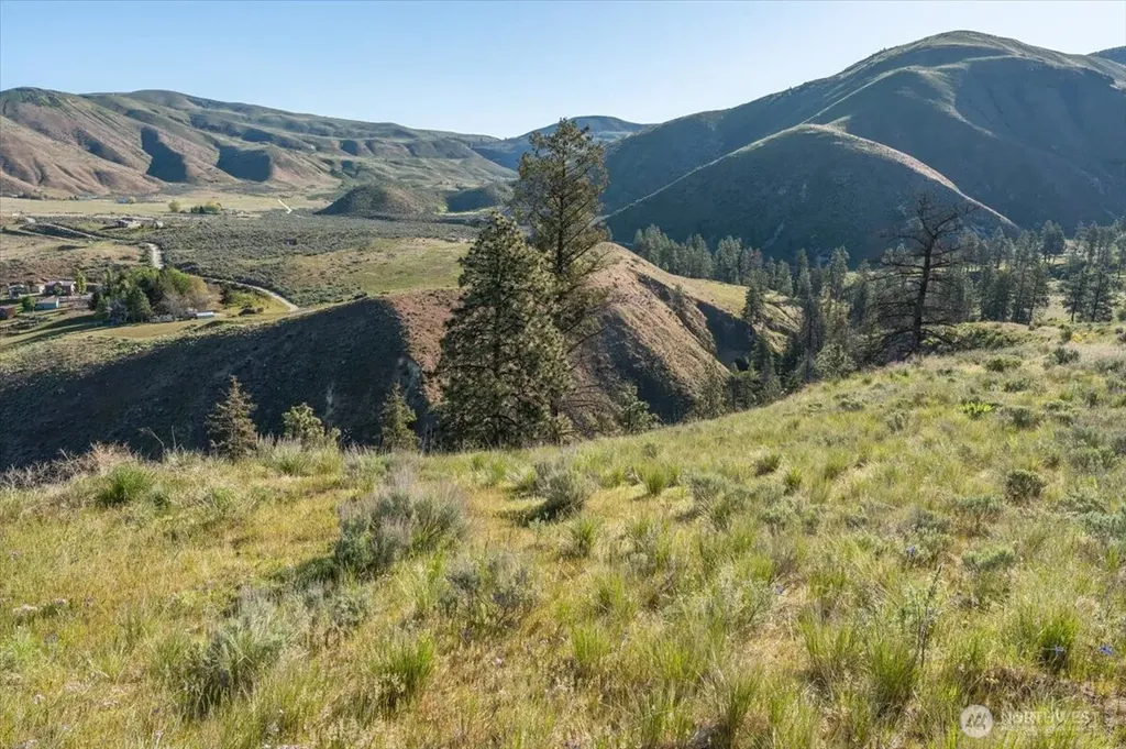 25 Chelan Hills Acres Road Orondo WA 98843
