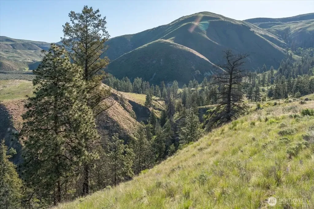 25 Chelan Hills Acres Road Orondo WA 98843