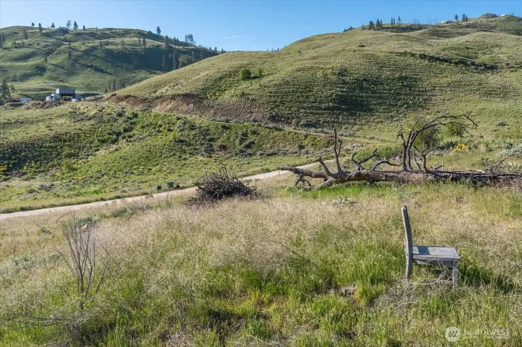 25 Chelan Hills Acres Road Orondo WA 98843