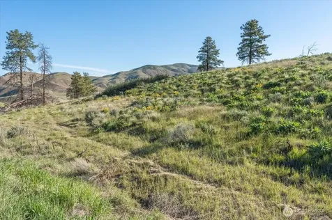 25 Chelan Hills Acres Road Orondo WA 98843