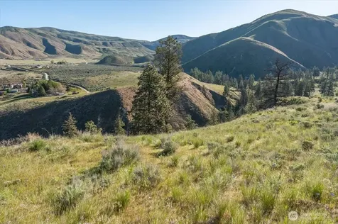 25 Chelan Hills Acres Road Orondo WA 98843