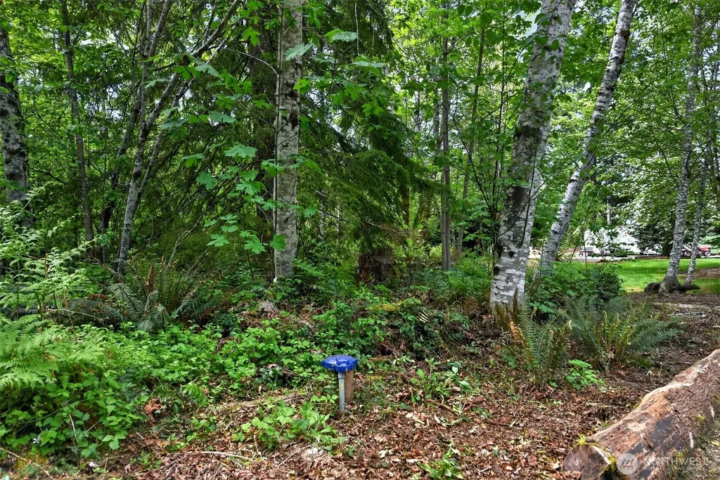 9061 Us Highway 12 Randle WA 98377