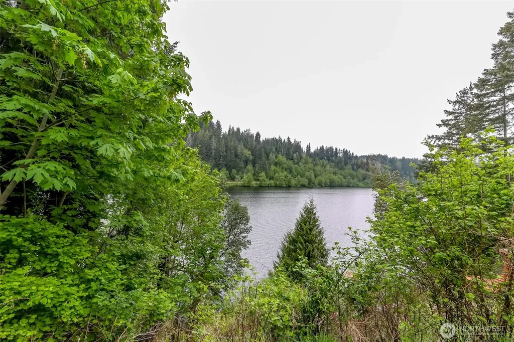 40420 Ski Park Rd E Eatonville WA 98328