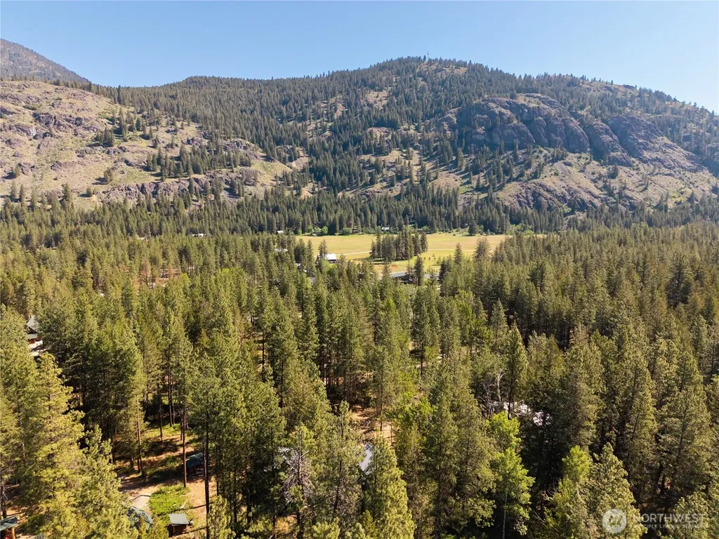 3 Mazama Bridge Road Mazama WA 98833