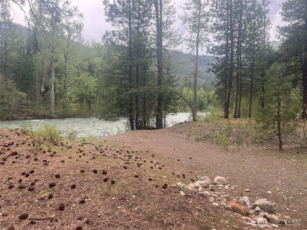 3 Mazama Bridge Road Mazama WA 98833