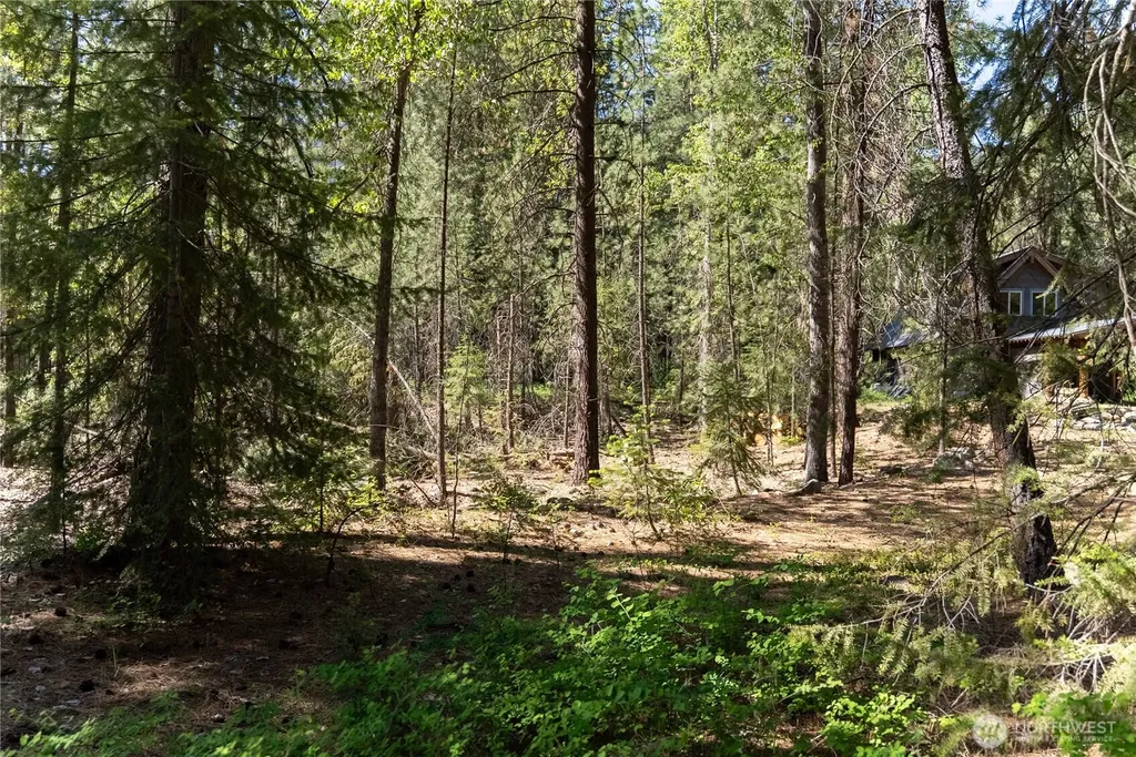 3 Mazama Bridge Road Mazama WA 98833