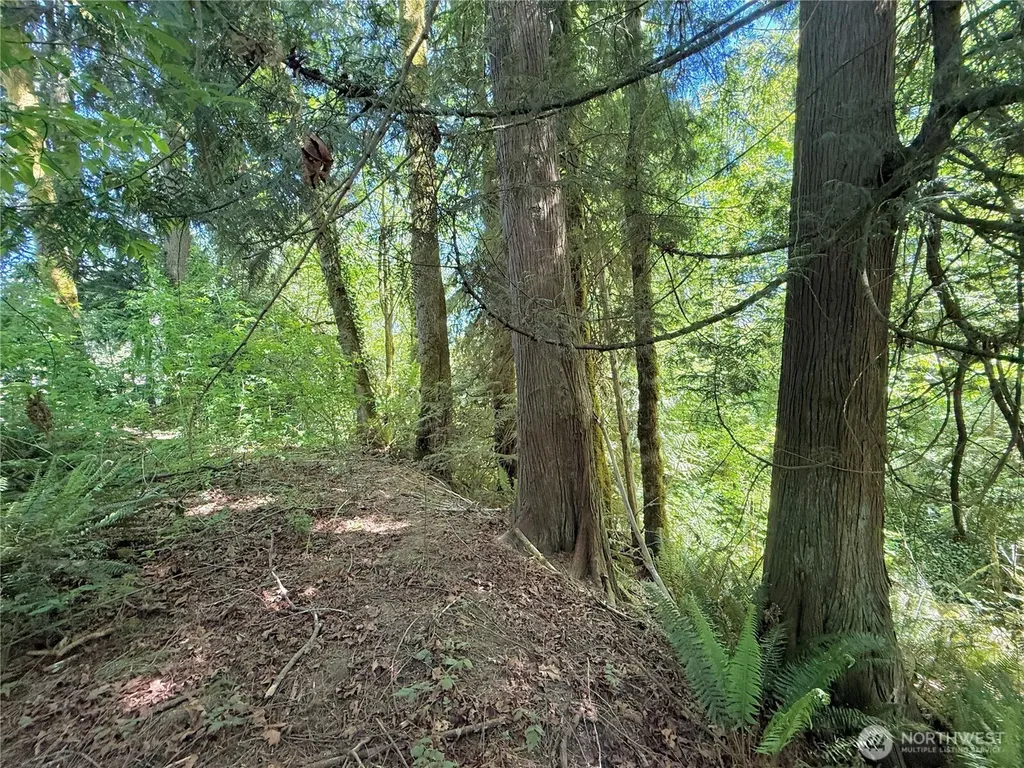 1356 SE Carl Pickel Drive Port Orchard WA 98366