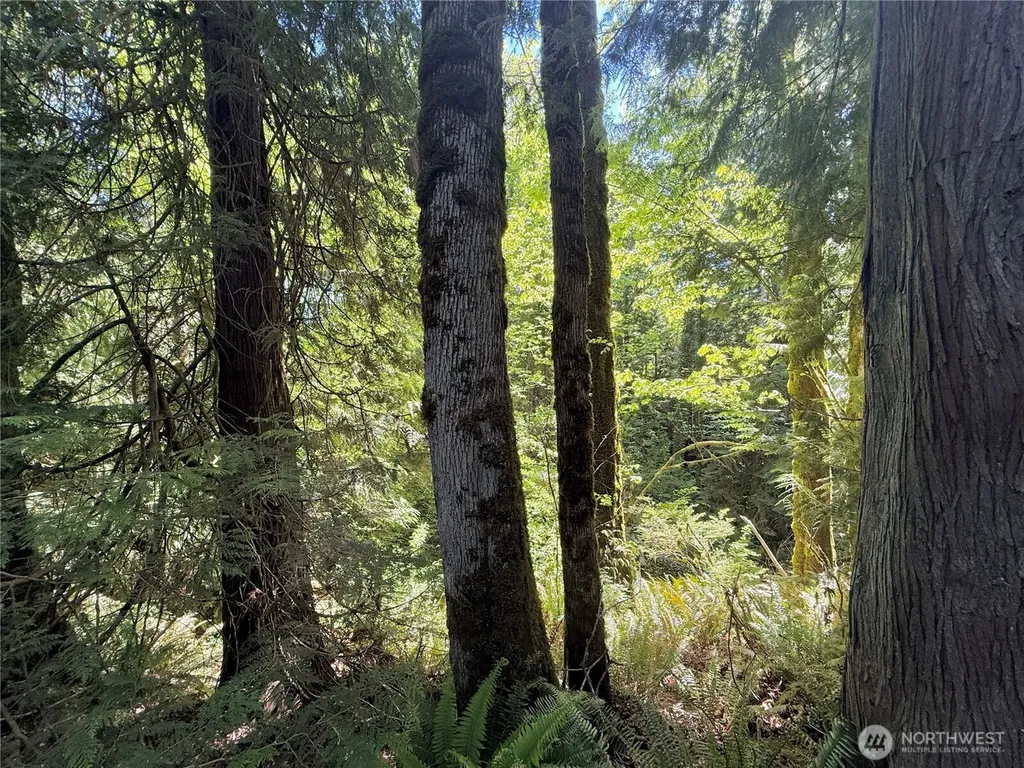 1356 SE Carl Pickel Drive Port Orchard WA 98366