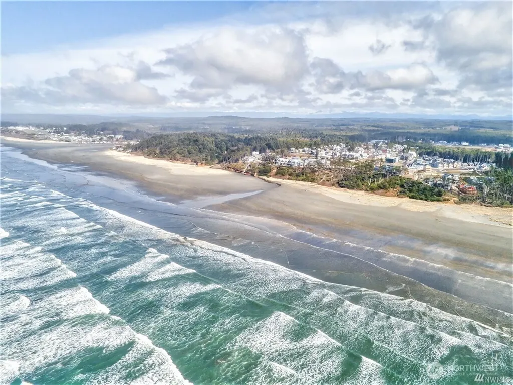 50 Flash Lane Pacific Beach WA 98571