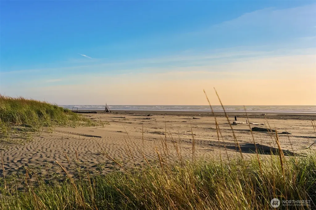 7 Lupine Lane Pacific Beach WA 98571