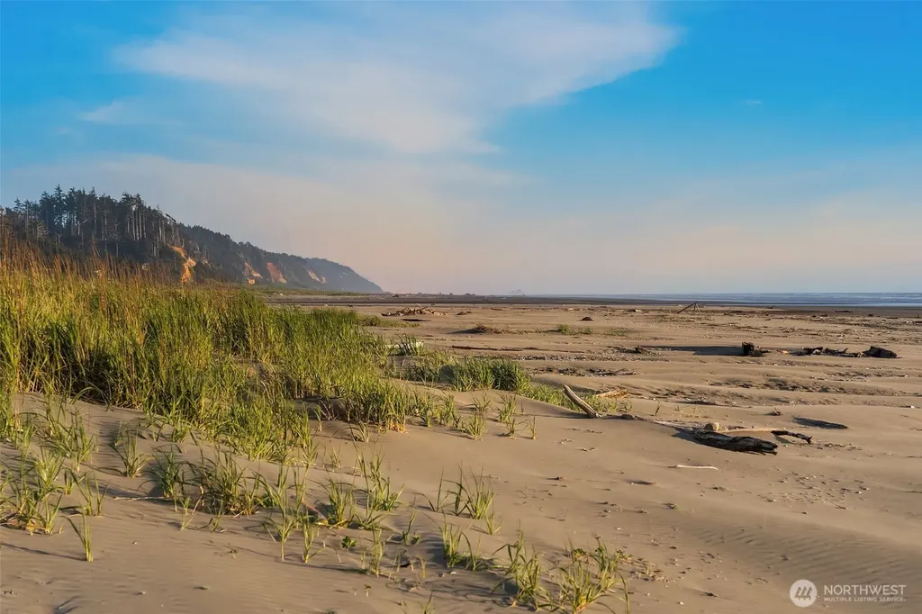 7 Lupine Lane Pacific Beach WA 98571