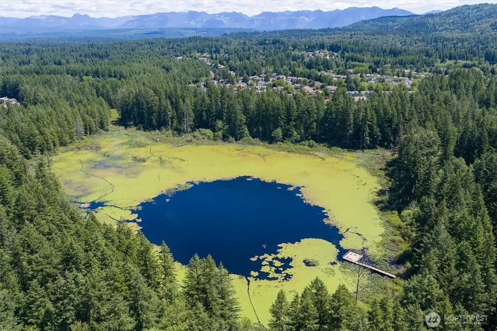 4180 244th Place SE Sammamish WA 98029