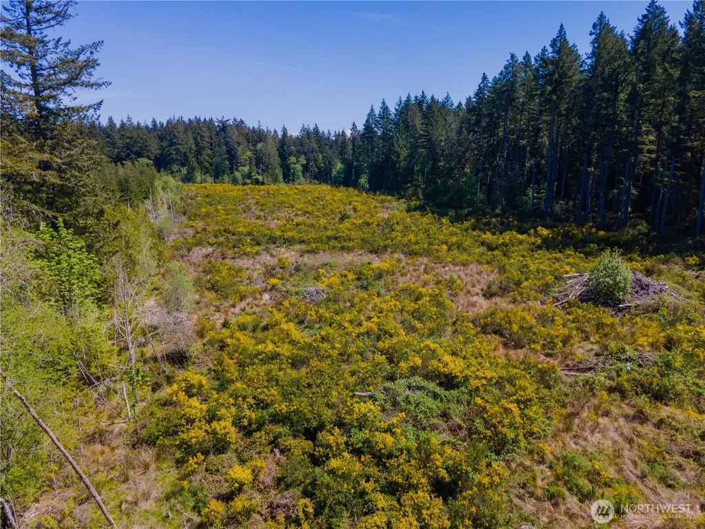 8600 Steamboat Island Road NW Olympia WA 98502