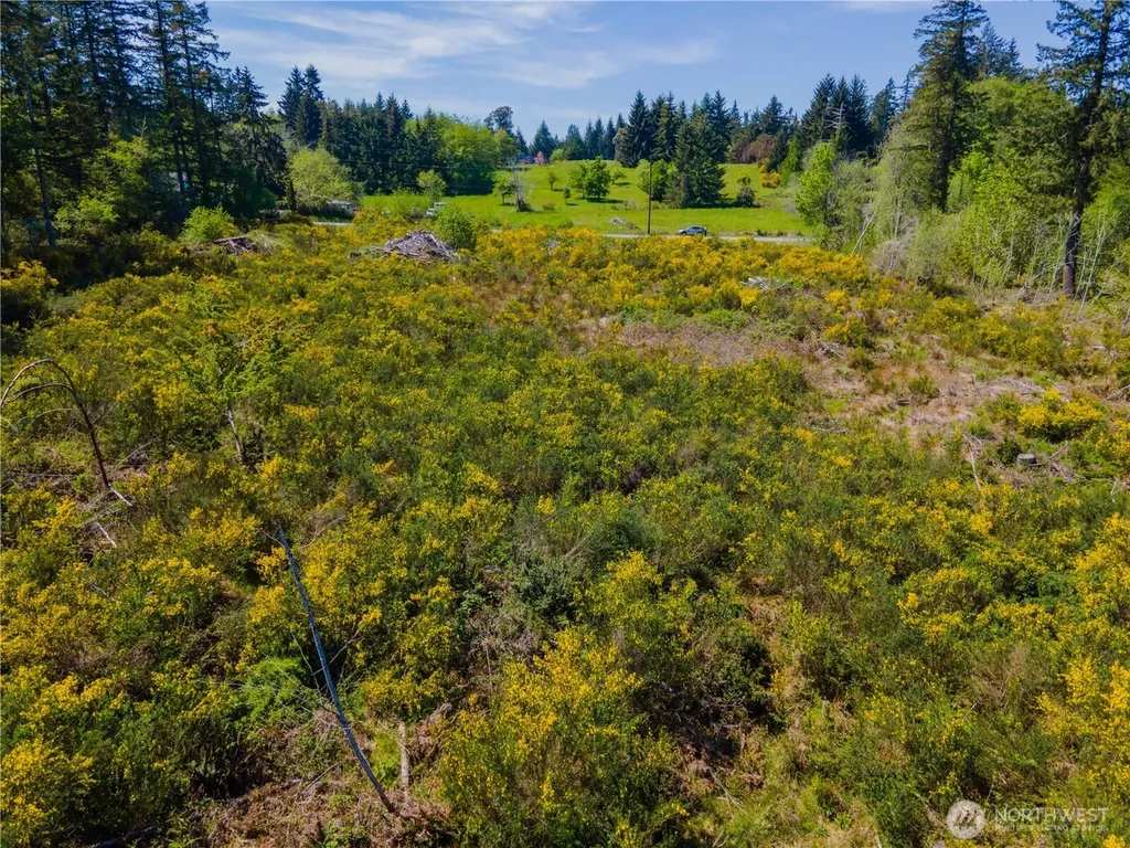 8600 Steamboat Island Road NW Olympia WA 98502