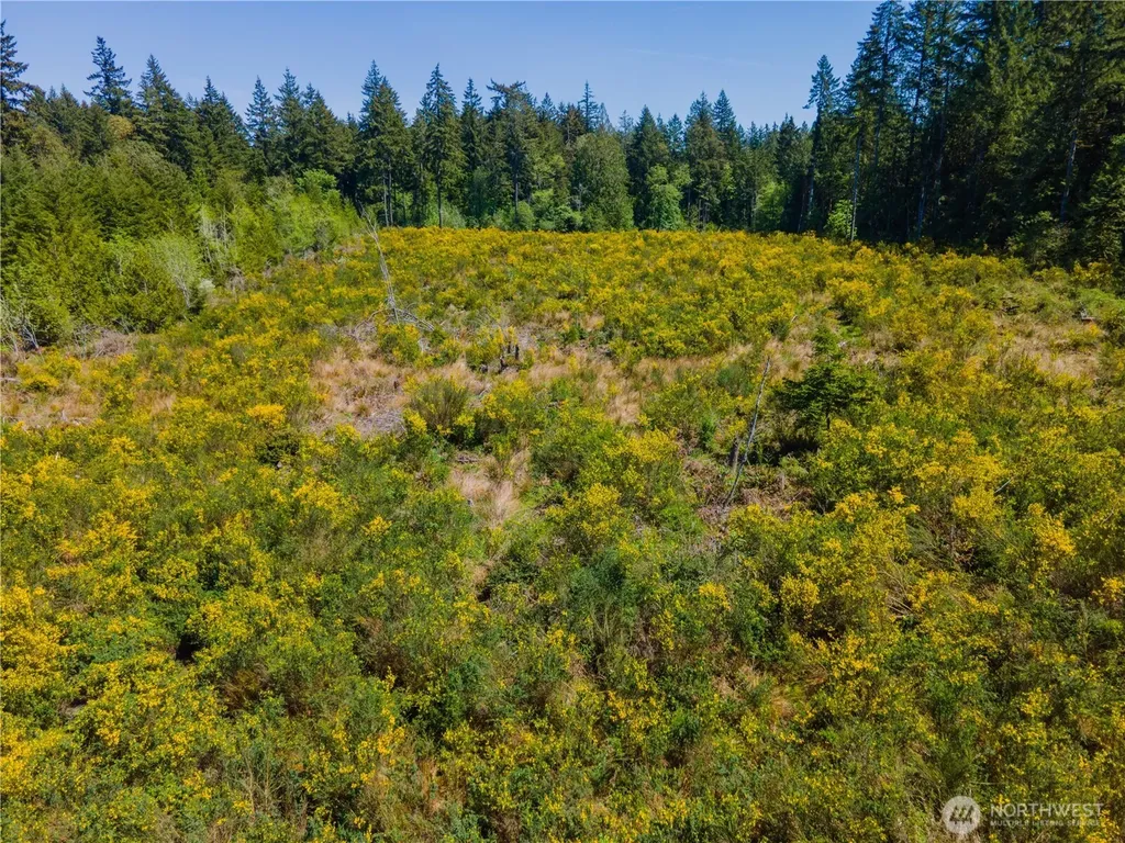 8600 Steamboat Island Road NW Olympia WA 98502