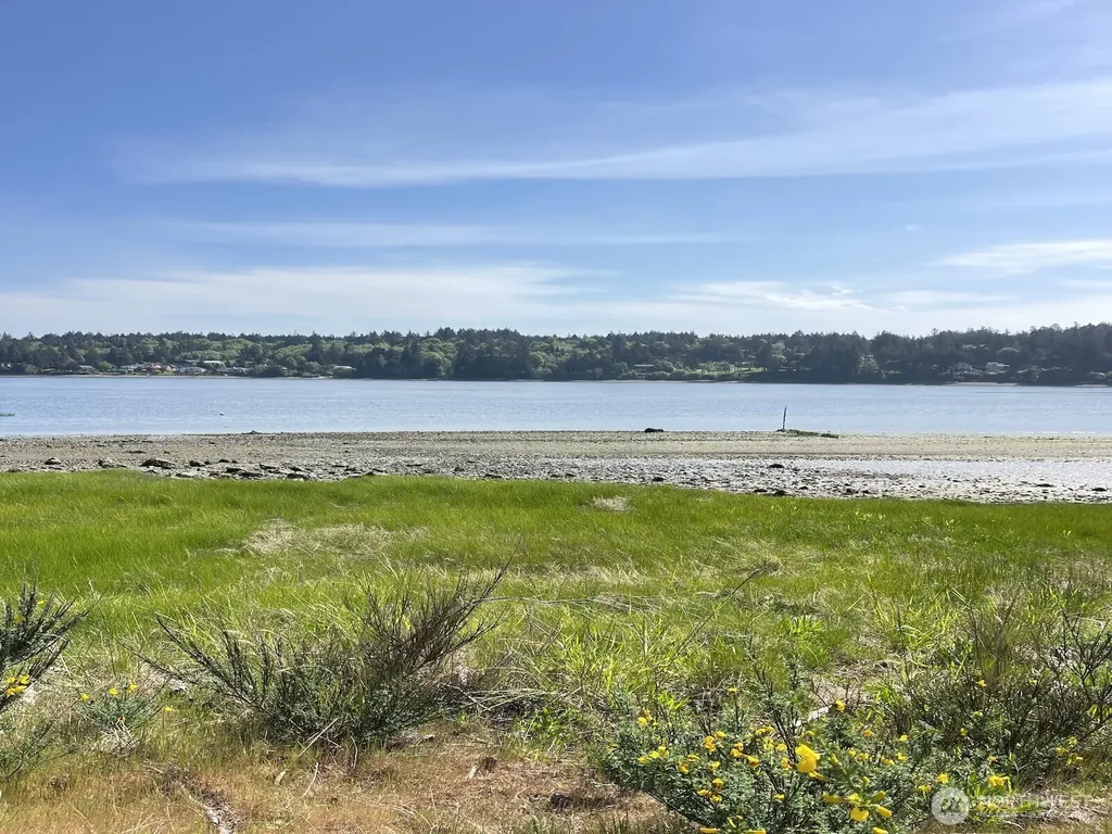 3081 E Pickering Road Shelton WA 98584