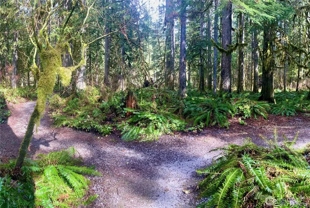 10500 Mount Baker Highway Glacier WA 98244