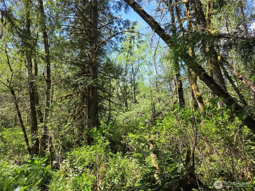 0 Falls Road Randle WA 98377