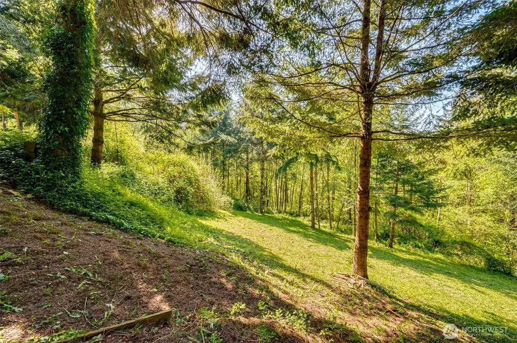 229 Prospect Road Woodland WA 98674