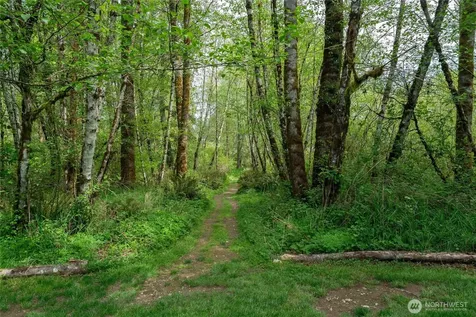 6031 139th Lane SW Rochester WA 98579