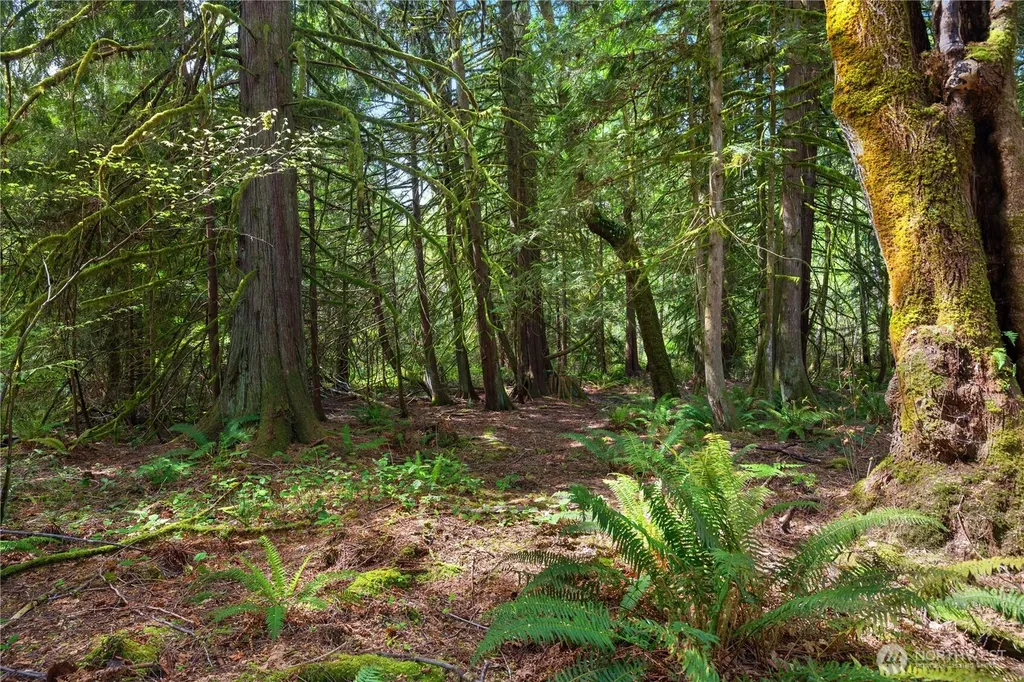 220 E Moore Lane Shelton WA 98584