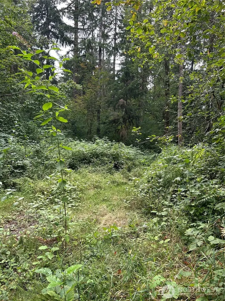 13863 351st Avenue NE Duvall WA 98019