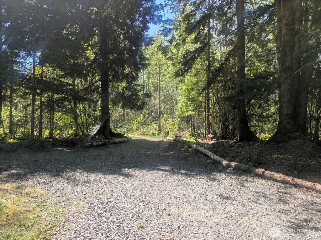 60099 State Route 20 Marblemount WA 98267