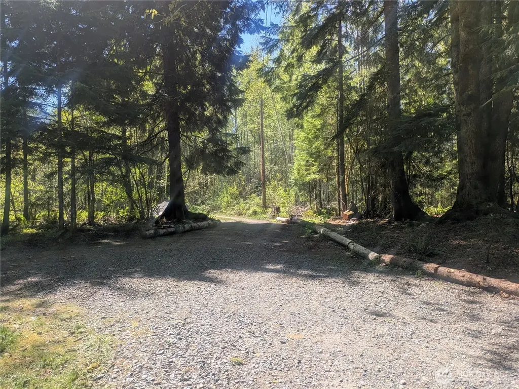 60099 State Route 20 Marblemount WA 98267
