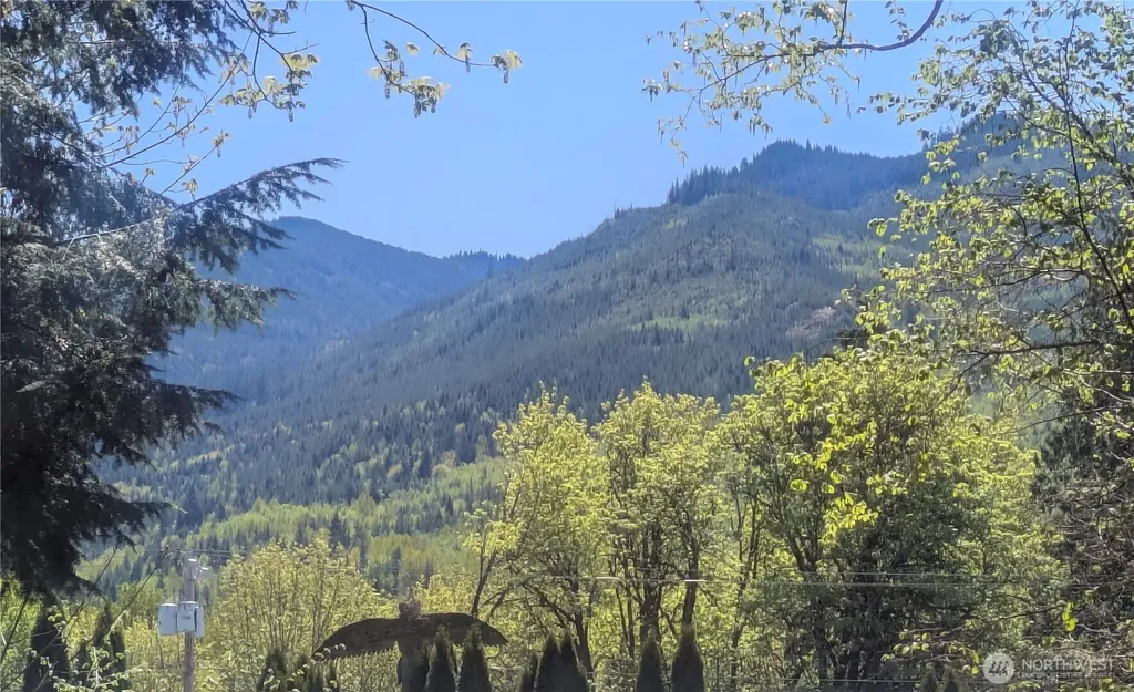 60099 State Route 20 Marblemount WA 98267