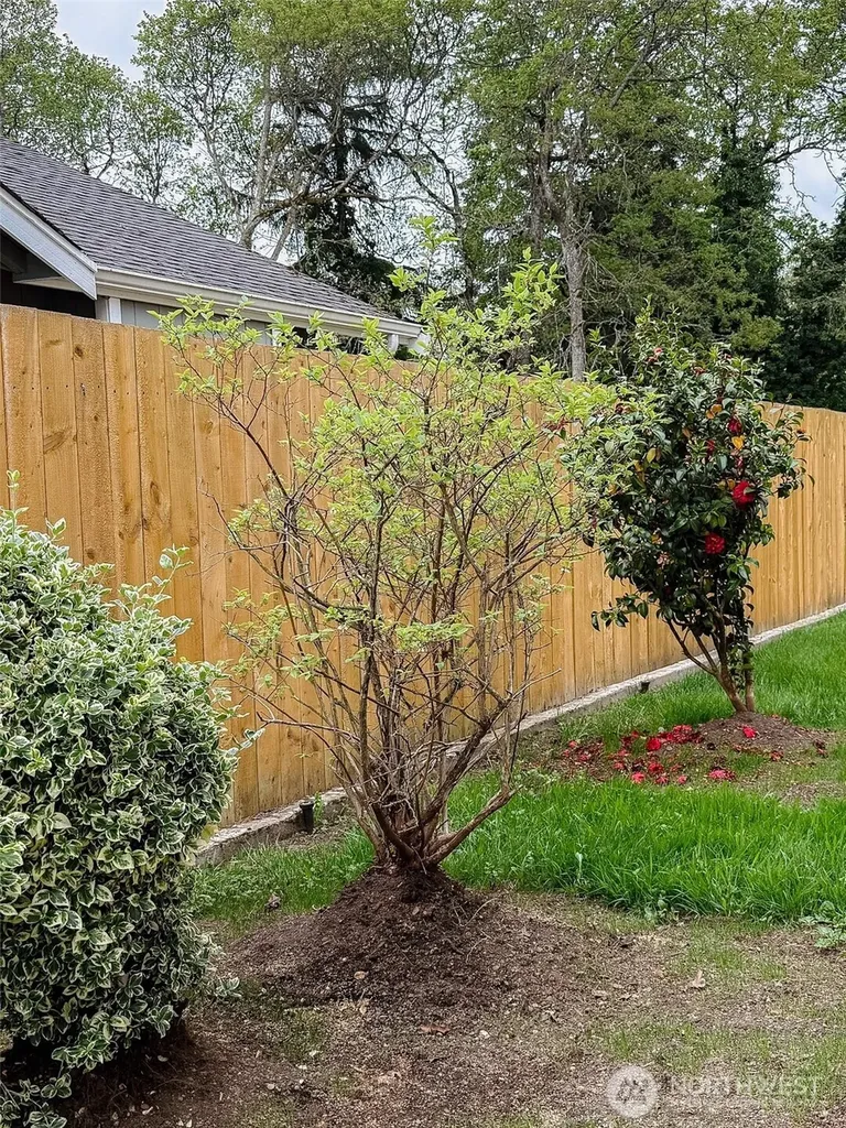210 166th Street E Spanaway WA 98387
