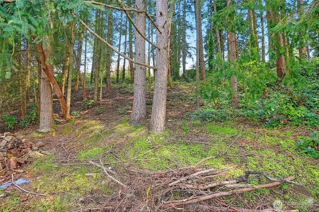17810 Olympic View Drive Edmonds WA 98026