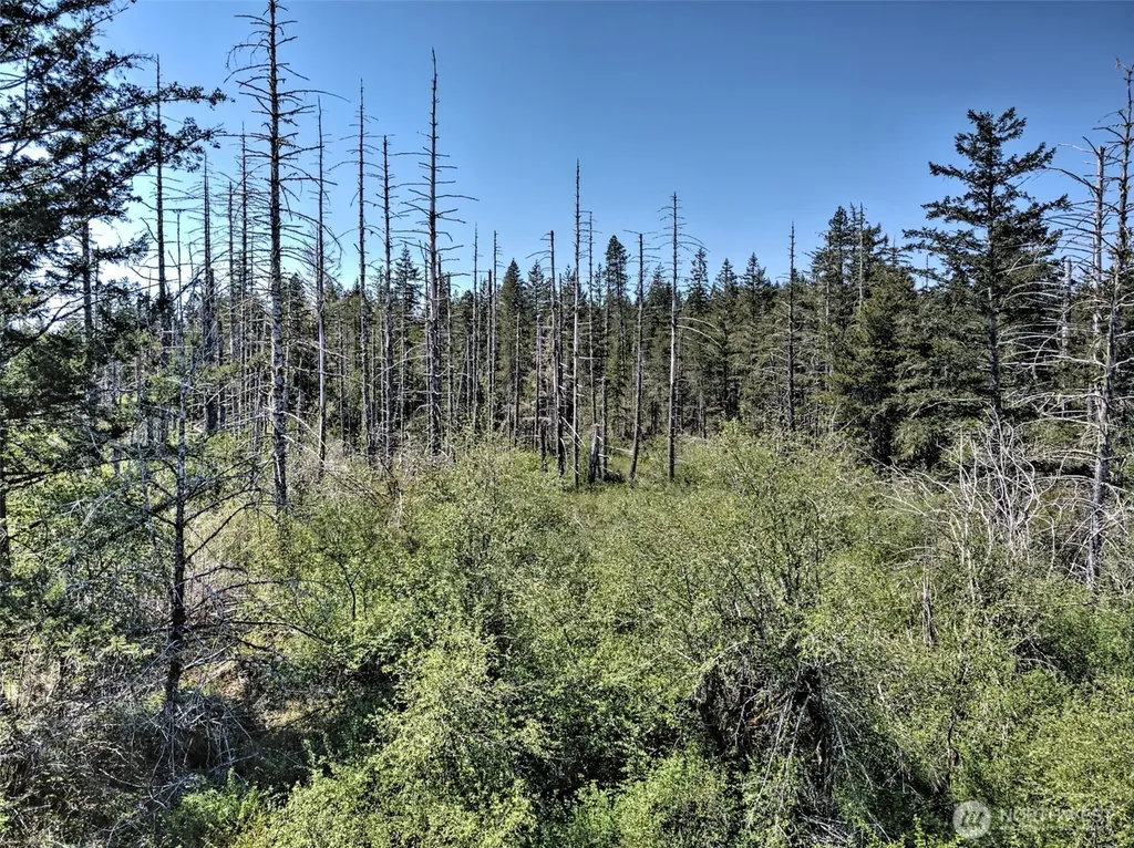 1161 NE Toonerville Drive Belfair WA 98528