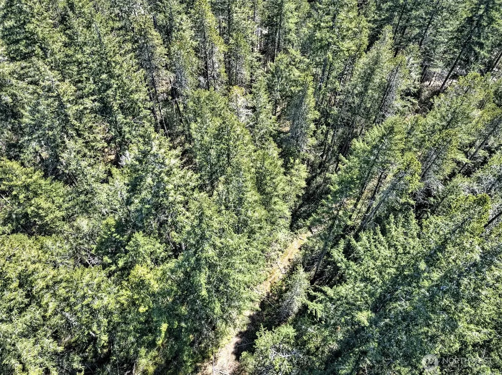 1161 NE Toonerville Drive Belfair WA 98528