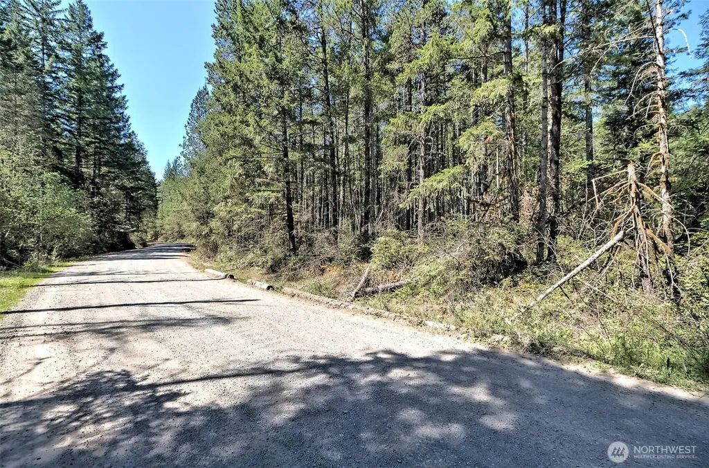 1161 NE Toonerville Drive Belfair WA 98528