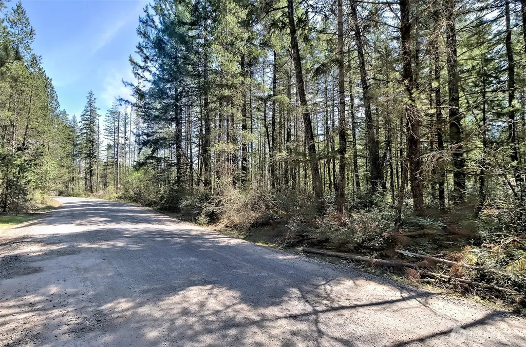 1161 NE Toonerville Drive Belfair WA 98528