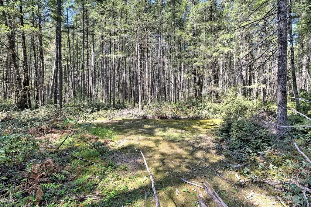 1161 NE Toonerville Drive Belfair WA 98528
