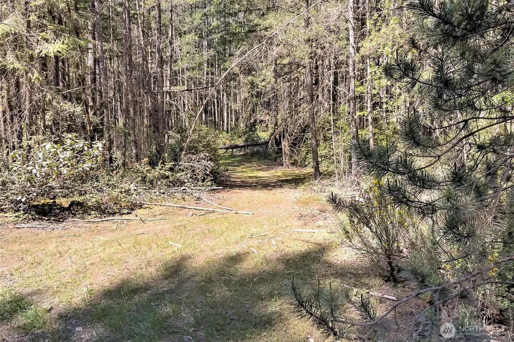 1161 NE Toonerville Drive Belfair WA 98528