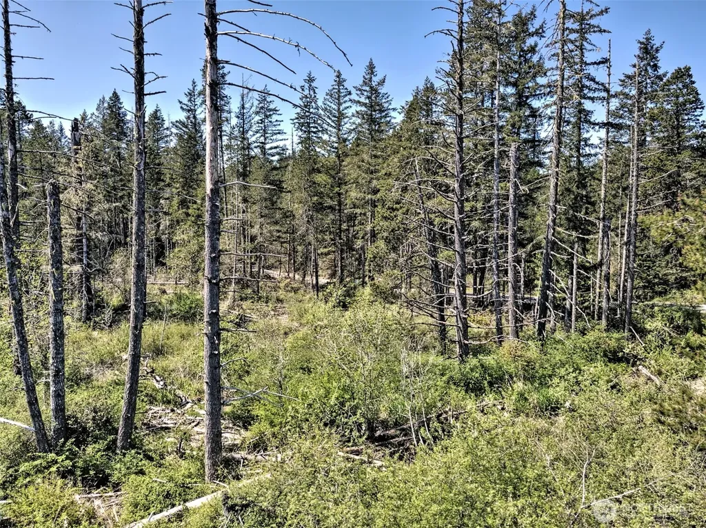 1161 NE Toonerville Drive Belfair WA 98528