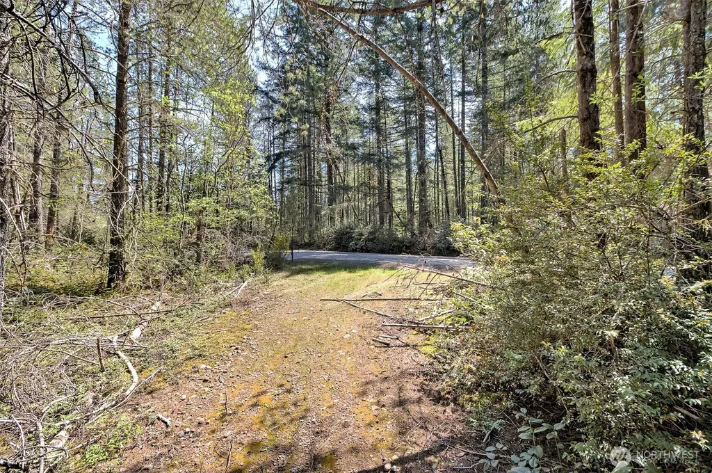 1161 NE Toonerville Drive Belfair WA 98528