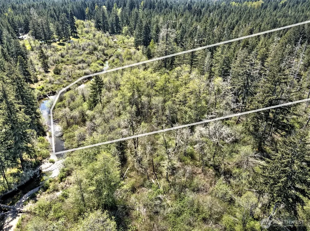 1161 NE Toonerville Drive Belfair WA 98528