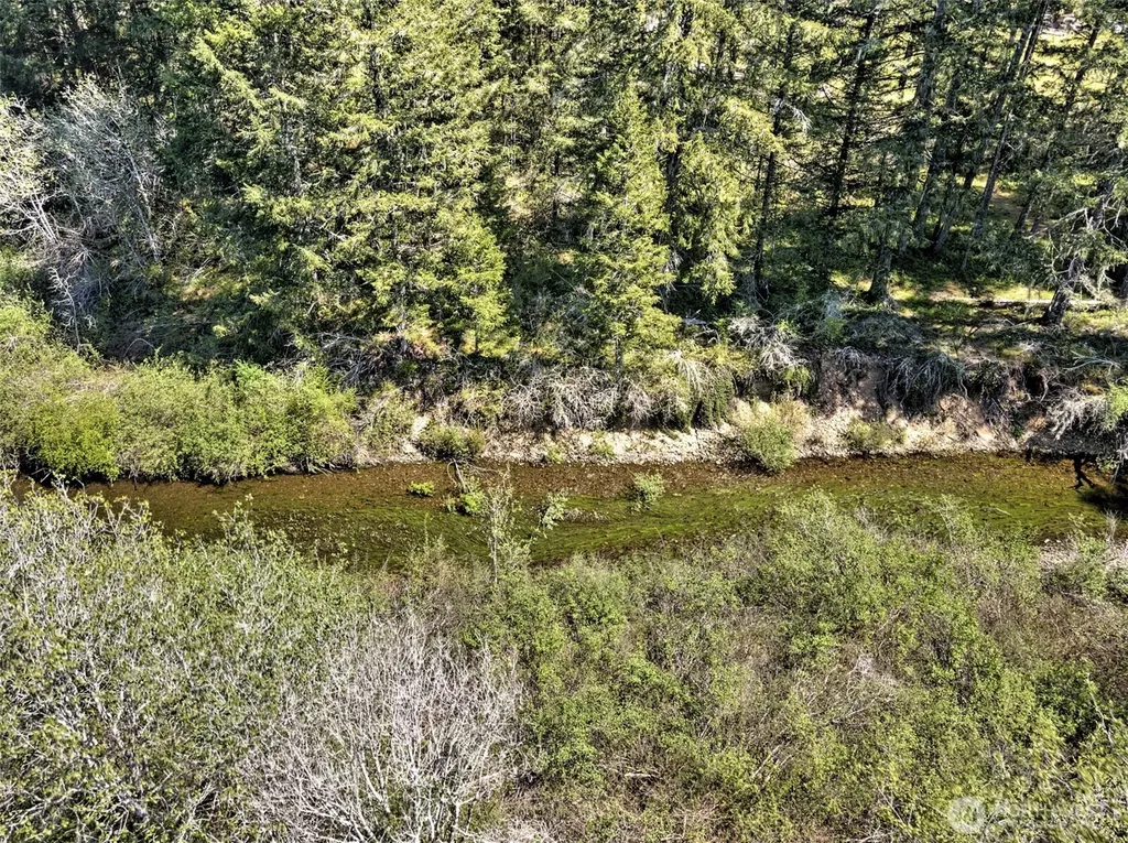 1161 NE Toonerville Drive Belfair WA 98528