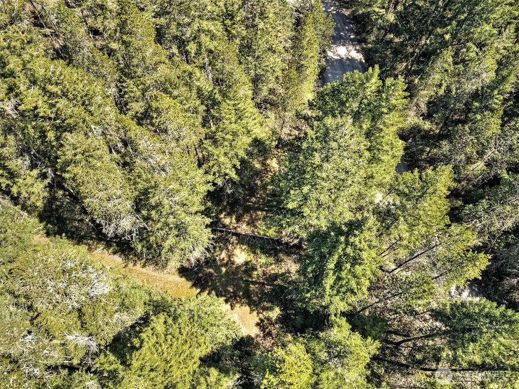 1161 NE Toonerville Drive Belfair WA 98528