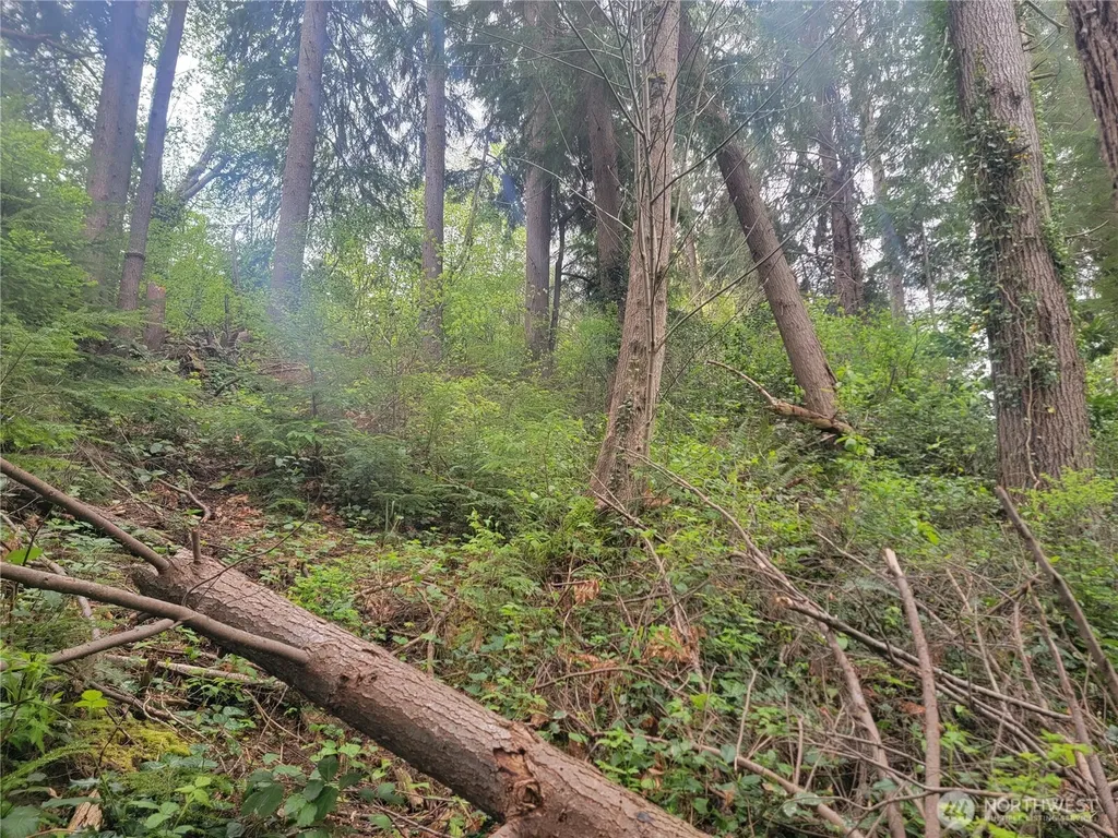 1600 Laura Street Aberdeen WA 98520