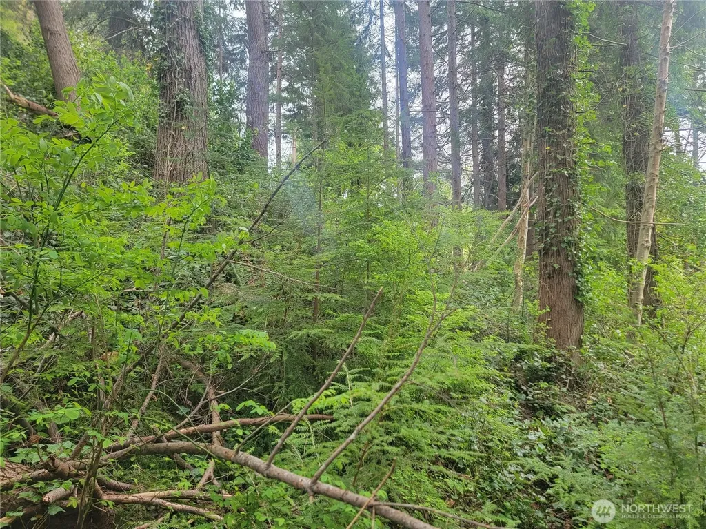 1600 Laura Street Aberdeen WA 98520