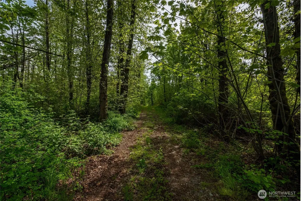 2165 E Badger Everson WA 98247